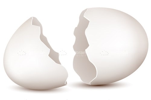 Broken Egg Shell